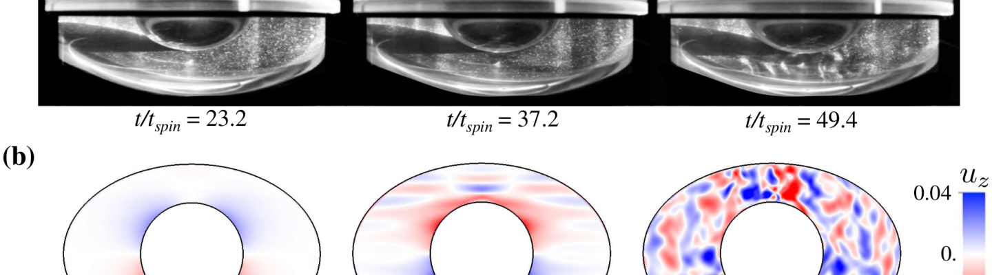 Comparaison entre expériences et simulations des écoulements dans un ellipsoïde en libration