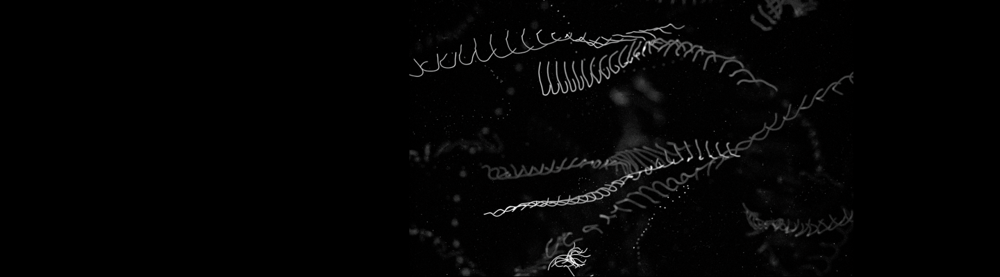 Fibers are wriggling