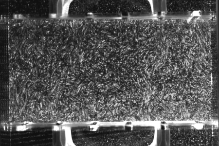 turbulence grilles